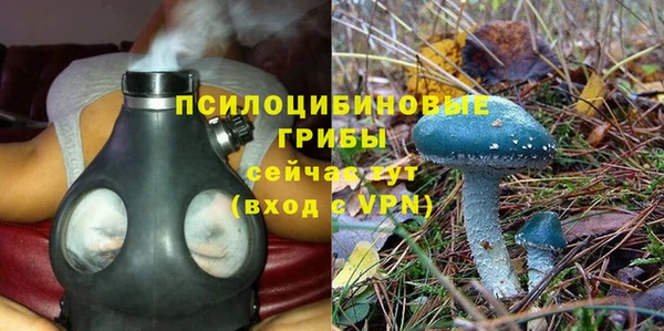 мескалин Сатка