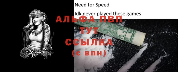 СК Абинск