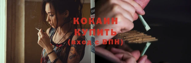 сатива Абаза