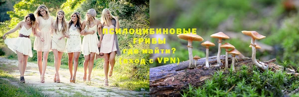 сатива Абаза