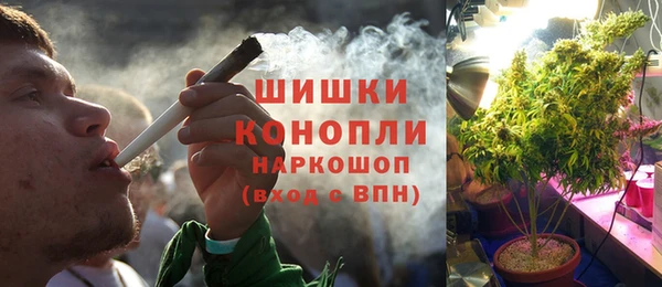 сатива Абаза