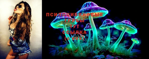 СК Абинск