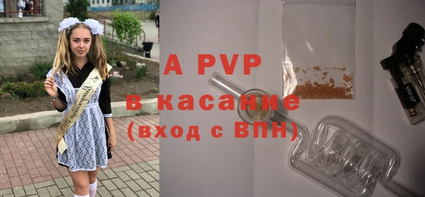 СК Абинск
